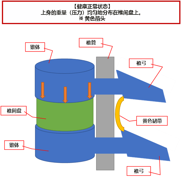 健康正常