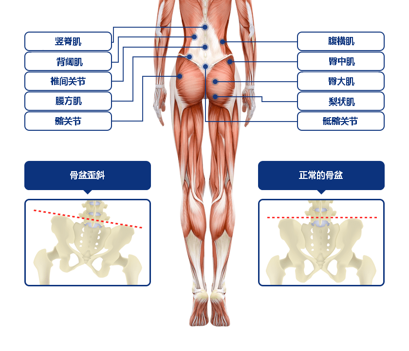 腰痛专门康复治疗区