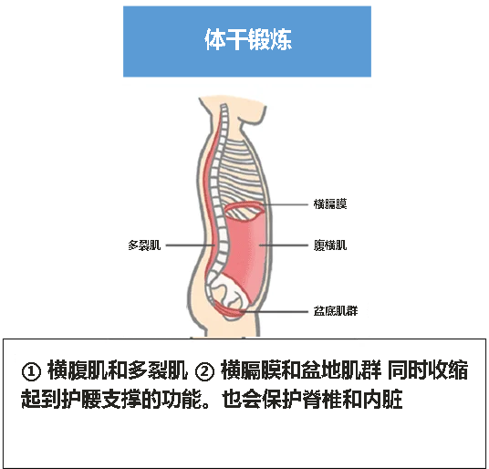 核心训练图