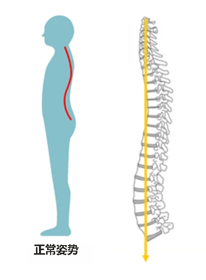 正确的姿势