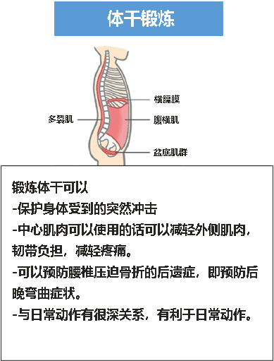 核心训练图